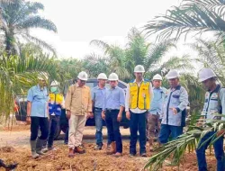 Kabupaten Sorong Dukung Pengembangan Kebun Plasma